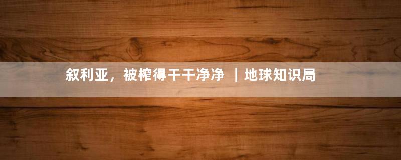 叙利亚，被榨得干干净净 ｜地球知识局